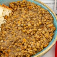 A serving of French green lentils cooked in the Instant Pot.