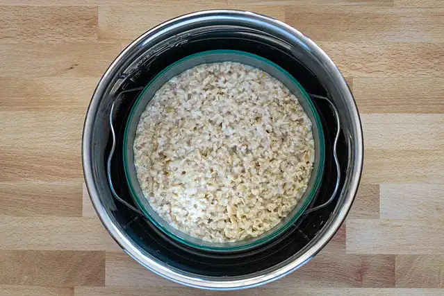 The oat mixture in the Instant Pot, cooked.