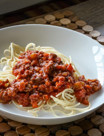 pasta bowl with spaghetti and sauce