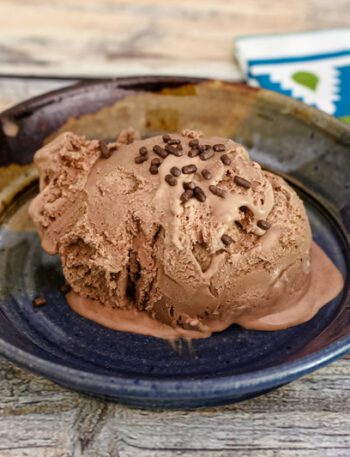 A scoop of mocha ice cream garnished with chocolate jimmies.