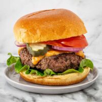 A mozzarella burger with toppings on a brioche bun.
