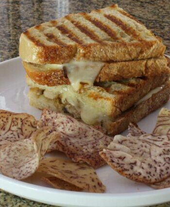 A grilled mushroom and fontina cheese sandwich on a plate with chips.