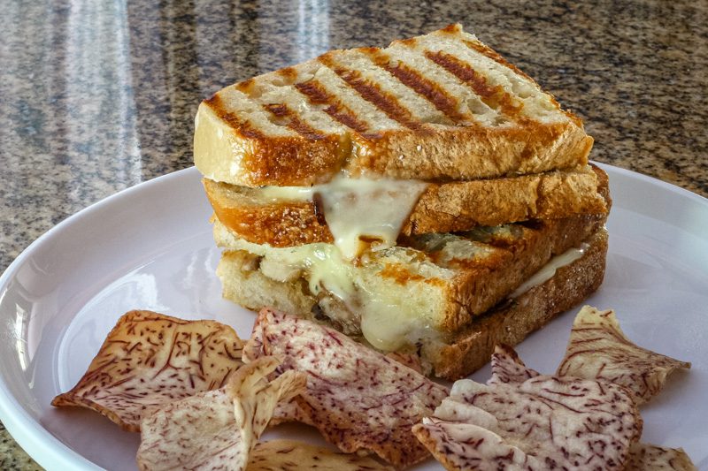 A closeup of the fontina cheese and mushroom sandwich.