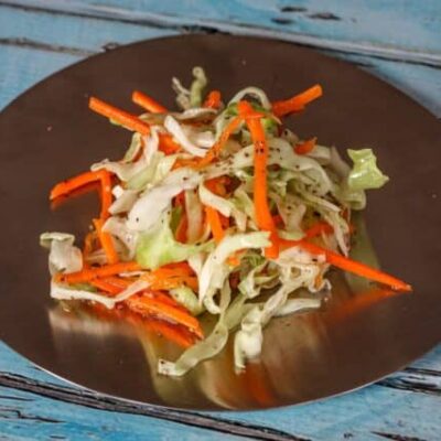 a serving of north carolina coleslaw on a small plate
