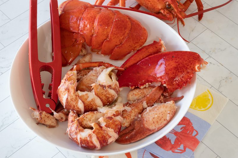 Photo shows a bowl with meat picked from a lobster.