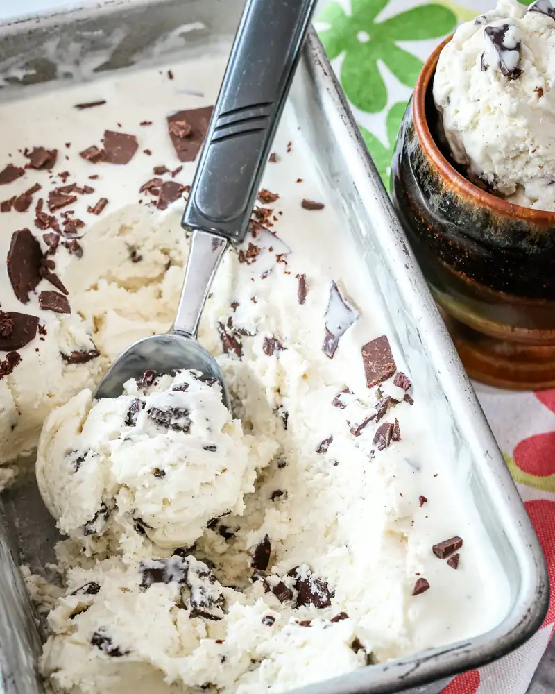 Creamy vanilla ice cream with chocolate shavings in a glass dish.