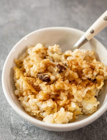 A bowl of rice pudding with cinnamon sugar sprinkled over it.