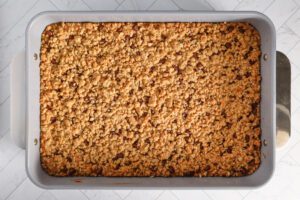 Baked peanut butter chocolate chip oat bars