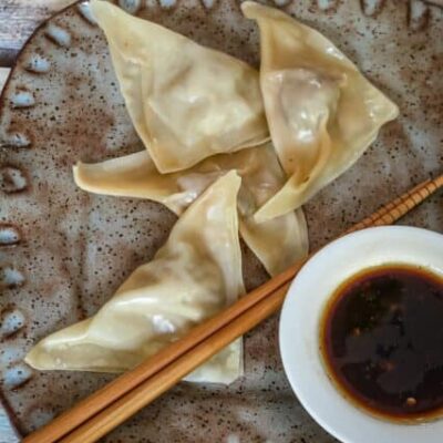 simple pork dumplings with dipping sauce