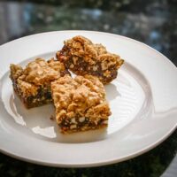 Easy chocolate oat revel bars on a plate.