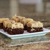 Fudge layered dessert with a chocolate crust and creamy topping on a white plate.