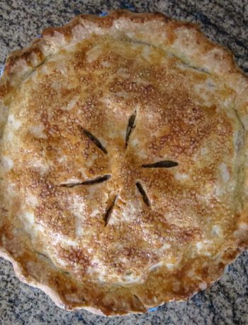a 2-crust pie