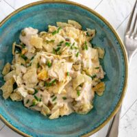 A serving of tuna casserole with potato chip topping.