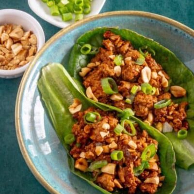 turkey lettuce wraps with green onions and peanuts
